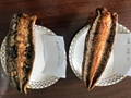 Frozen Prepared Eel ,Unagi Kabayaki ,Frozen Roasted Eel,Seasoned Eel