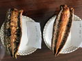 Frozen Prepared Eel Flakes,Unagi Kabayaki Flakes, Frozen Seasoned Grilled E 11