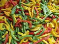 IQF Sweet Pepper Mix,IQF Mixed Bell Pepper,IQF Sweet Pepper (green/yellow/red)