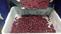 IQF Raspberry Wholes & Brokens,Frozen Raspberry Wholes & Brokens 9