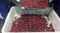 IQF raspberries crumbles,Frozen raspberry crumbles,red,cultivated 8