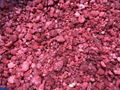 IQF raspberries crumbles,Frozen raspberry crumbles,red,cultivated