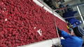 IQF raspberries crumbles,Frozen raspberry crumbles,red,cultivated