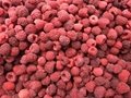 冷冻树莓,速冻树莓