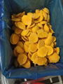 IQF frozen Mango Dices,IQF frozen Mango Chunks,IQF Frozen Mango Halves/Flesh  11