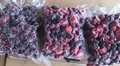 IQF mixed berries,Frozen mixed berries(strawberry,raspberry,blackberry)