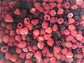 Vacuum packed IQF mixed berries,Frozen mixed berries 5