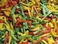 new crop IQF peppers strips/dices/wholes/mixed (green/red/yellow)