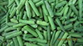 IQF Green Beans Cuts,Frozen Green Bean Cuts,IQF Cut Green Beans 2