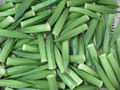 IQF Okra slices,IQF sliced Okra,Frozen sliced Okra,Frozen Okra slices 5