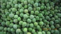 IQF Green Peas,Frozen Green Peas,IQF Frozen Green Peas 4