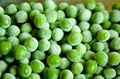 IQF Green Peas,Frozen Green Peas,IQF Frozen Green Peas 5