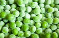 IQF Green Peas,Frozen Green Peas,IQF Frozen Green Peas 6