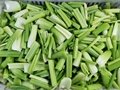 IQF Diced Celery,Frozen Diced Celery,IQF Celery Dices,Frozen Celery Dices 6
