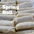 Tsingtao Vegetable Spring Roll,Pre-Fried Spring Roll,Dimsum,Snacks,Asian Food 6