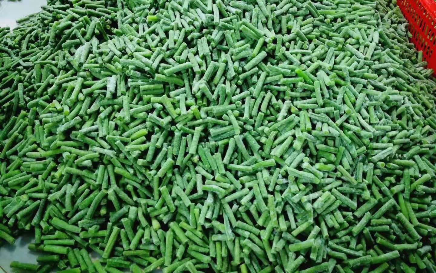 IQF asparagus beans cuts,Frozen cut asparagus beans,IQF cow peas cuts 2