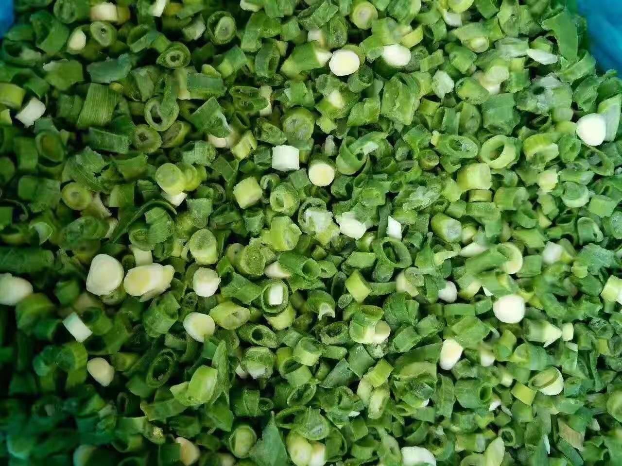 IQF Spring Onion Slices,Frozen Chives Dices,IQF Green Onions Dices 10