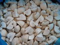 New  crop IQF champignon mushrooms,wholes/slices/cuts,unblanched/blanched
