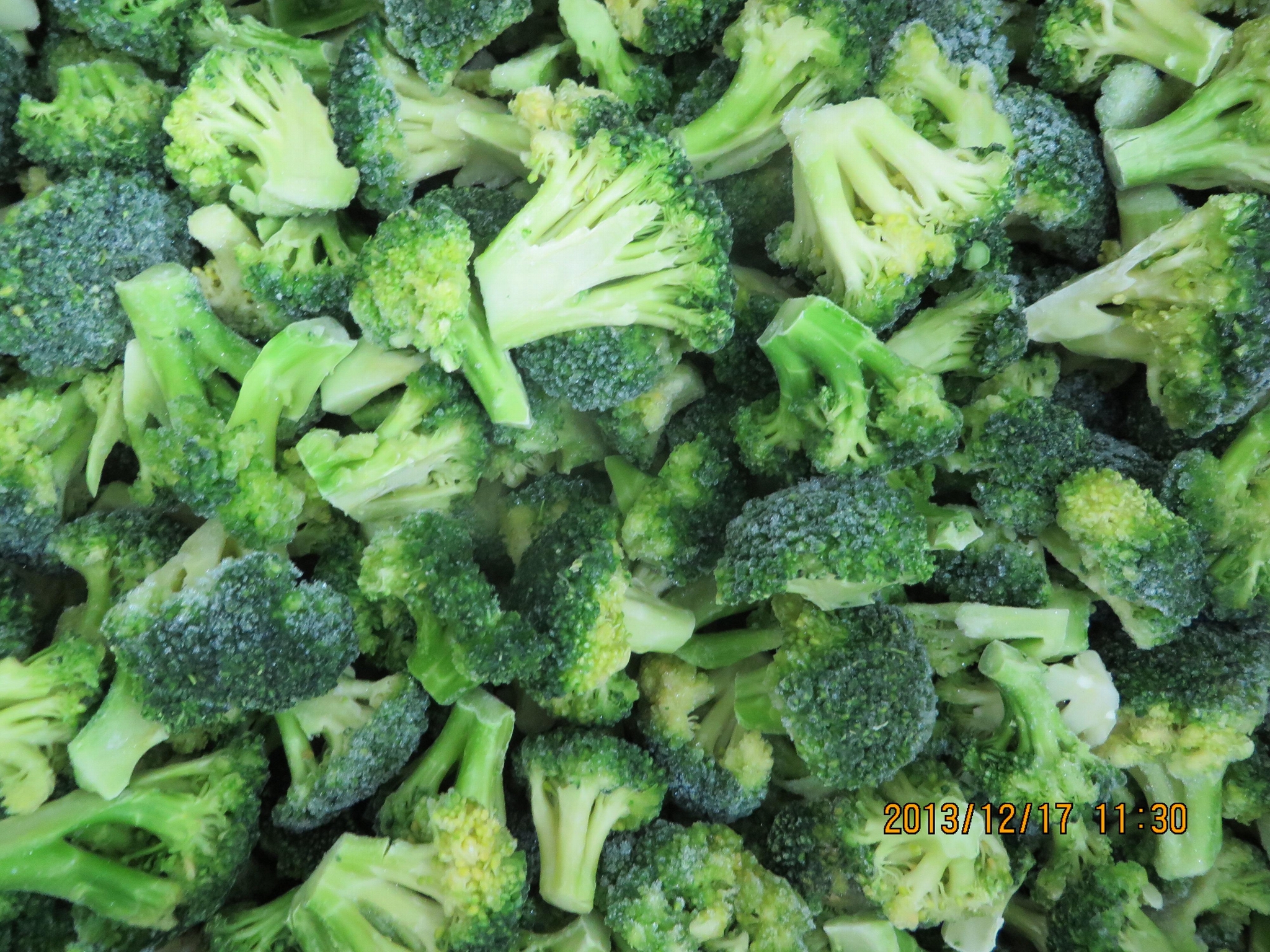 IQF Cut broccoli,Frozen Cut Broccoli,BQF broccoli spears the buyer's