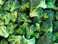 IQF Cut broccoli,Frozen Cut Broccoli,BQF broccoli spears