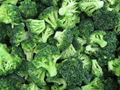 IQF Cut broccoli,Frozen Cut Broccoli,BQF broccoli spears