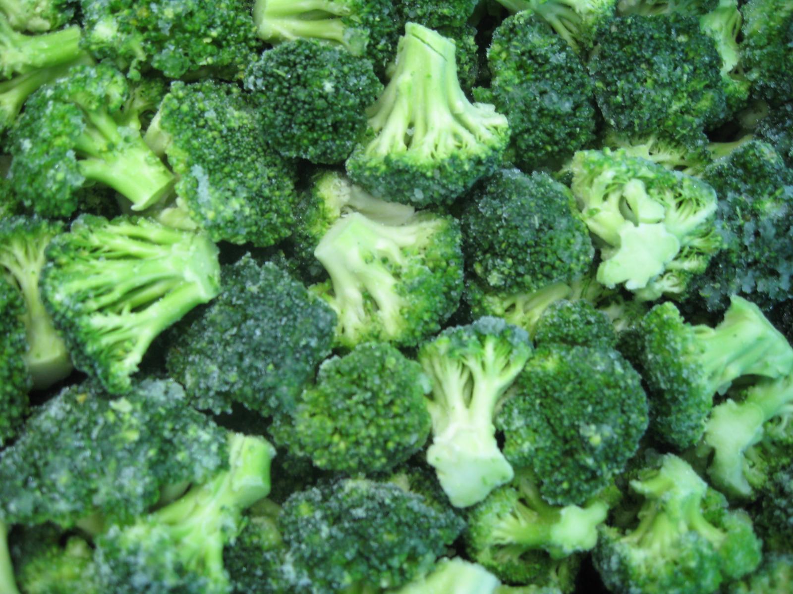 IQF Cut broccoli,Frozen Cut Broccoli,BQF broccoli spears the buyer's