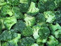 IQF Cut broccoli,Frozen Cut Broccoli,BQF broccoli spears