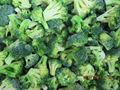 IQF Cut broccoli,Frozen Cut Broccoli,BQF