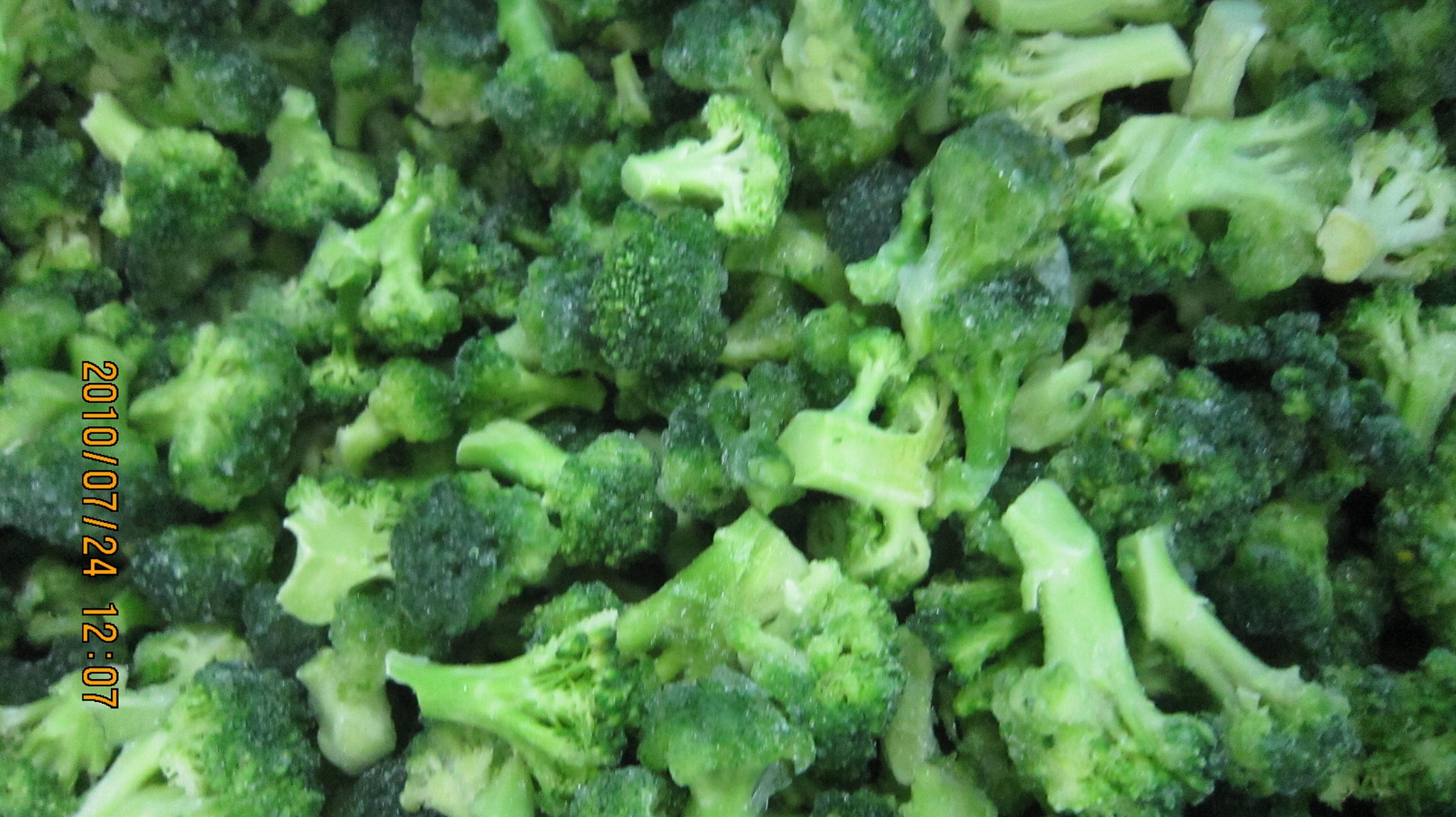 IQF Cut broccoli,Frozen Cut Broccoli,BQF broccoli spears the buyer's