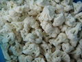 IQF cut cauliflowers,IQF cauliflower cuts,Frozen cauliflower cuts 3