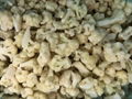 IQF cut cauliflowers,IQF cauliflower cuts,Frozen cauliflower cuts