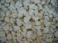 IQF Cauliflower Florets,Frozen Cauliflower Florets,IQF Cauliflower Nuggets