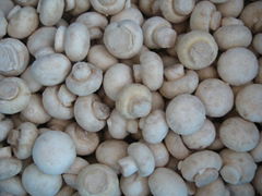 IQF champignon mushrooms wholes,IQF whole champignon mushrooms,frozen mushrooms
