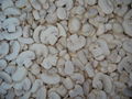 IQF champignon mushrooms wholes,IQF whole champignon mushrooms,frozen mushrooms 6