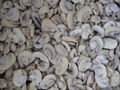 IQF champignon mushrooms cuts,IQF cut champignon mushrooms,frozen champignon 4