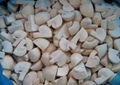 IQF champignon mushrooms cuts,IQF cut champignon mushrooms,frozen champignon 3