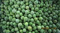 IQF Green Peas,Frozen Green Peas,IQF Frozen Green Peas 12