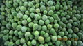 IQF green peas,Frozen green peas