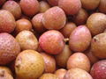 IQF Peeled Lychees,Frozen Peeled Lychees,IQF Peeled Litchi,IQF Pitted Lychees