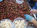 IQF Peeled Lychees,Frozen Peeled Lychees,IQF Peeled Litchi,IQF Pitted Lychees