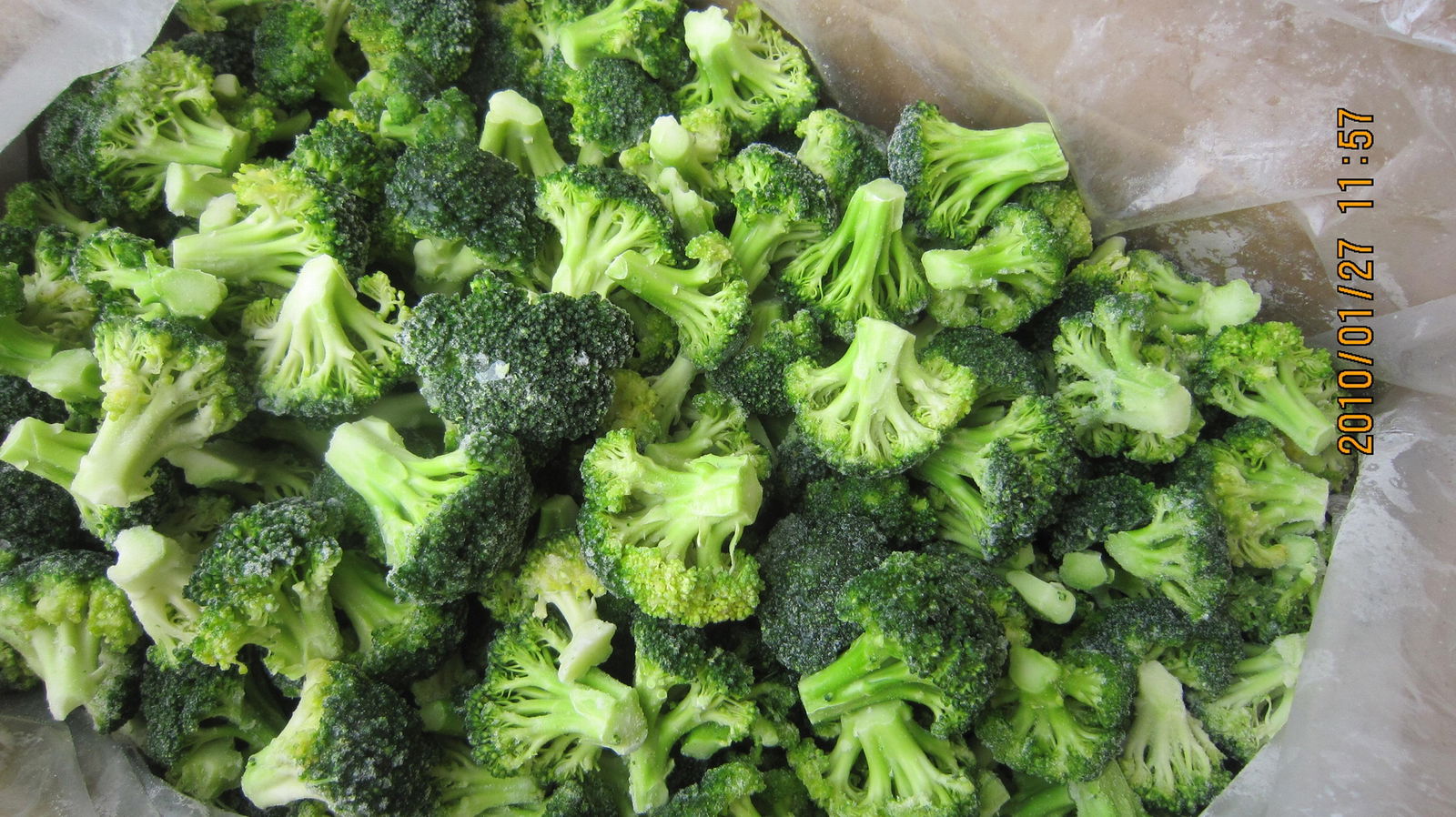 IQF Broccoli Florets,Frozen Broccoli Florets,IQF Frozen Broccoli Cuts SFFVBROCCOLI the
