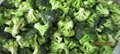 IQF Broccoli Florets,Frozen Broccoli Florets,IQF Frozen Broccoli Cuts 1