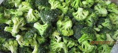 IQF Broccoli Florets,Frozen Broccoli Florets,IQF Frozen Broccoli Cuts (Hot Product - 1*)