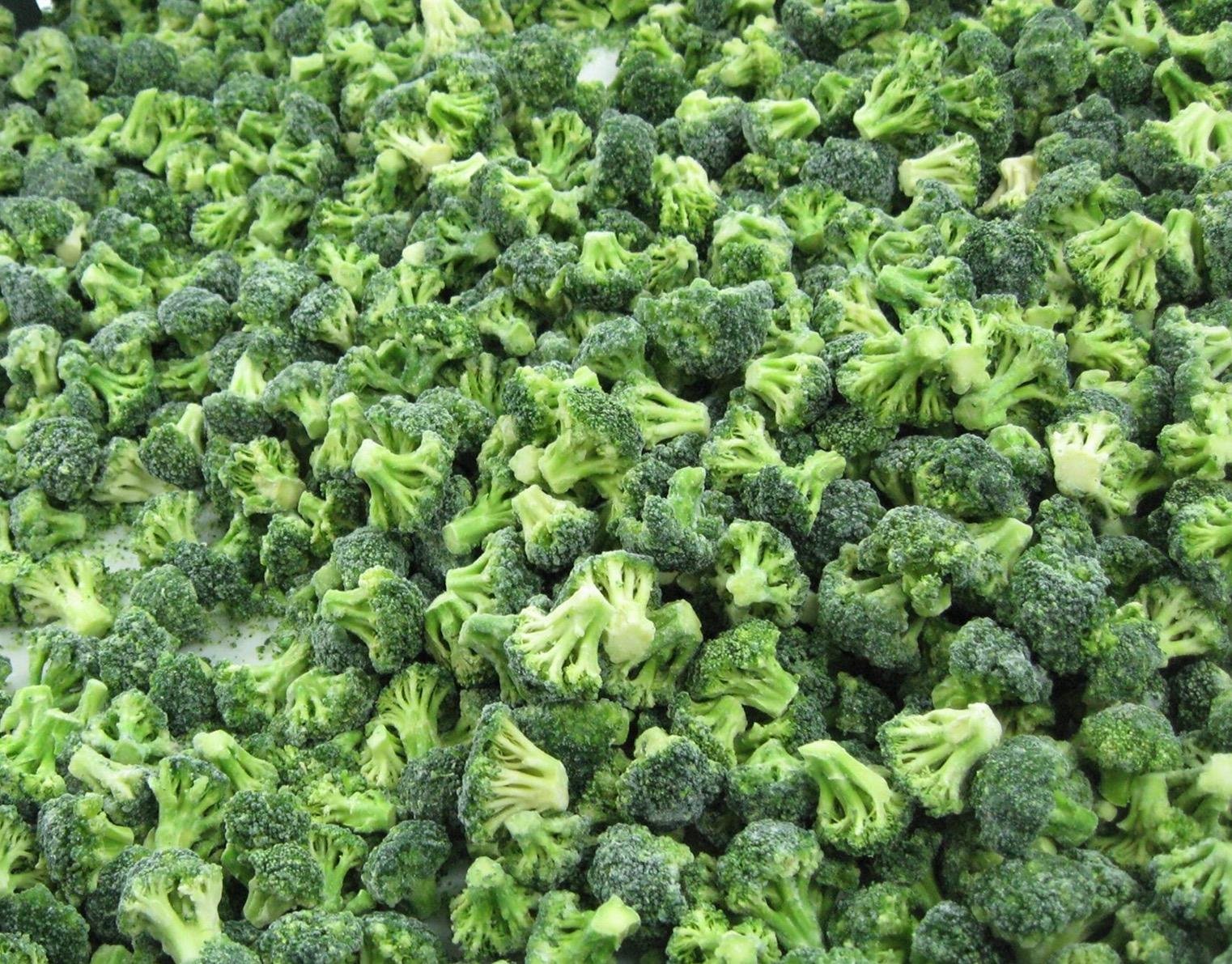 IQF Broccoli Florets,Frozen Broccoli Florets,IQF Frozen Broccoli Cuts 3