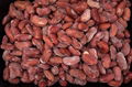 IQF red kidney beans,Frozen Red Kidney Bean,cooked,ready to eat