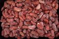 IQF Mixed Kidney Beans,Frozen Mixed Kidney Beans,cooked,ready to eat 10