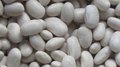 IQF White Kidney Beans,Frozen Kidney Bean,IQF White Cannelini Bean,cooked