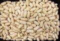 IQF White Kidney Beans,Frozen Kidney Bean,IQF White Cannelini Bean,cooked 9