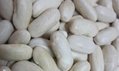 IQF White Kidney Beans,Frozen Kidney Bean,IQF White Cannelini Bean,cooked 4