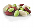 IQF White Kidney Beans,Frozen Kidney Bean,IQF White Cannelini Bean,cooked 7
